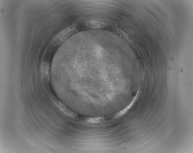 X0000085810178200704131956