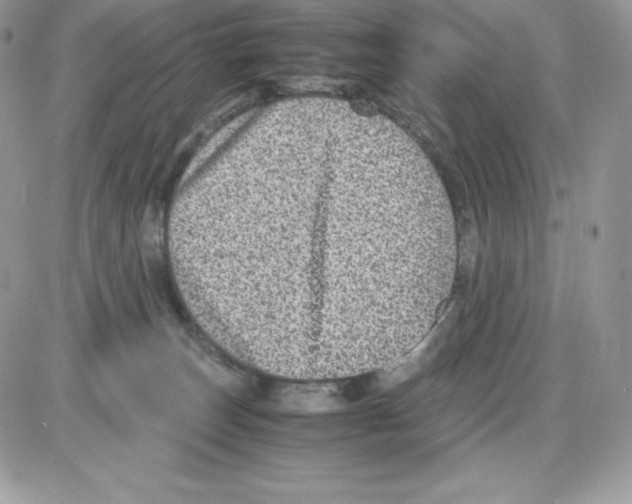 X0000085810179200704131956