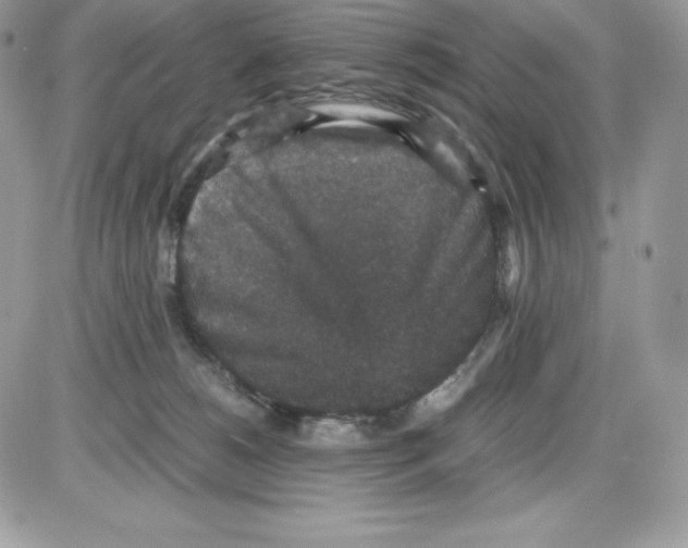 X0000085810180200704131956