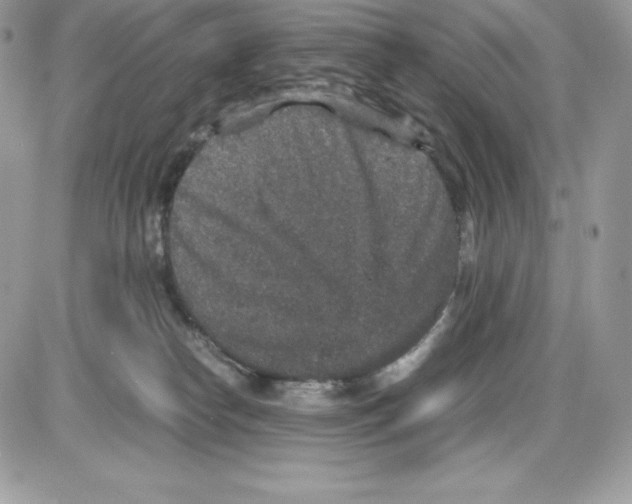 X0000085810182200704131956