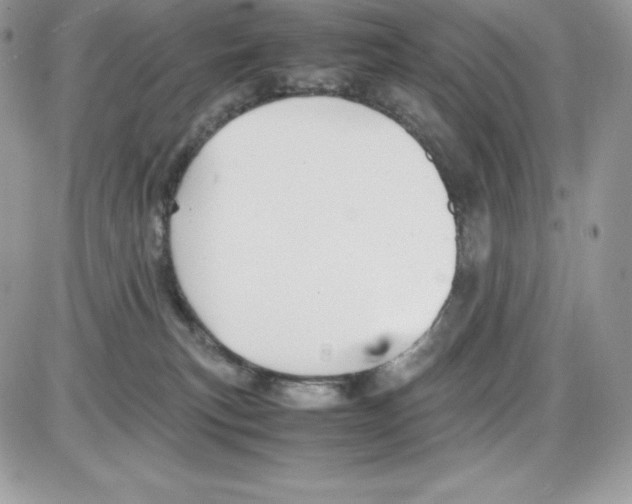 X0000085810183200704131956