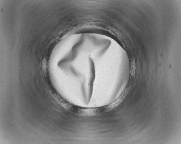 X0000085810184200704131956