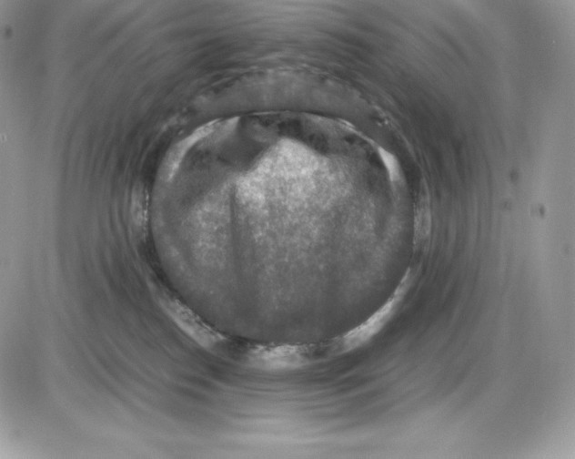 X0000085810186200704131956