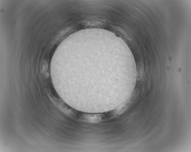 X0000085810187200704131956