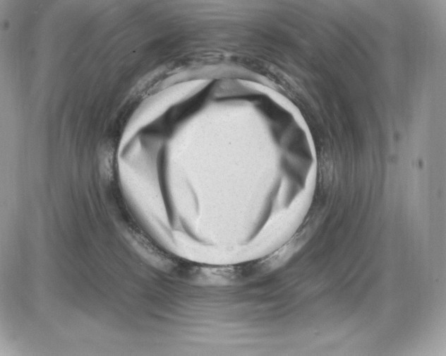 X0000085810188200704131956