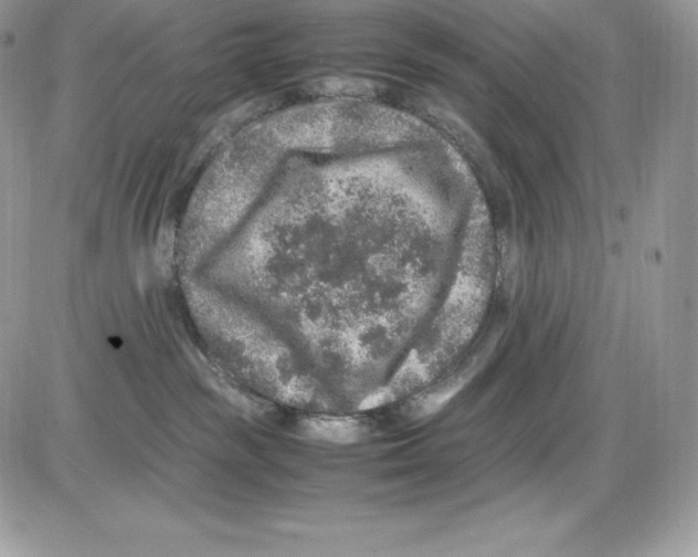 X0000085810189200704131956