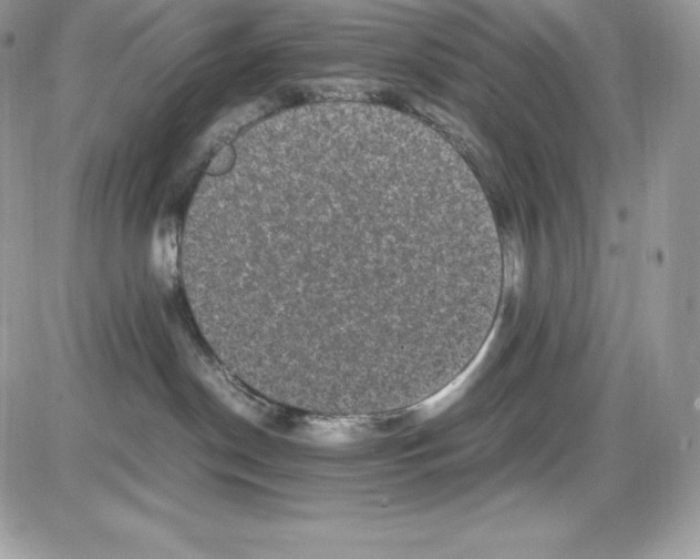 X0000085810190200704131956