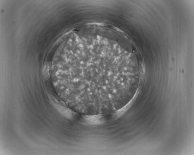 X0000085810191200704131956