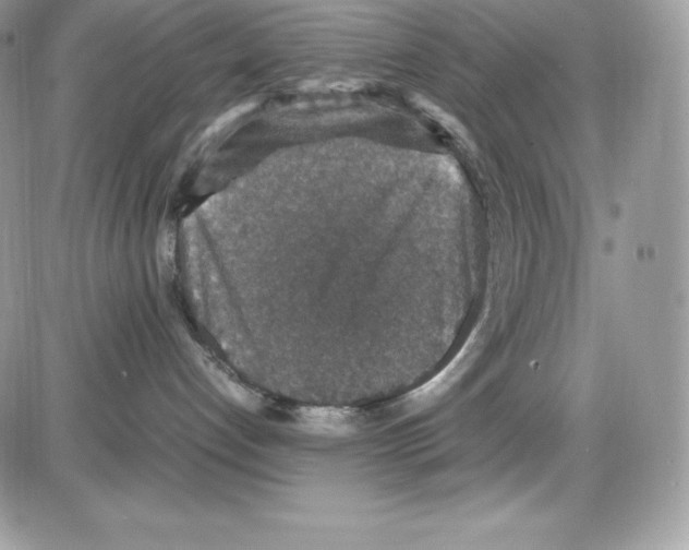 X0000085810192200704131956