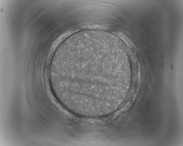 X0000085810193200704131955