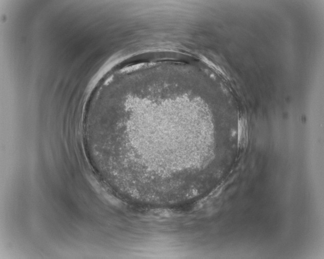 X0000085810195200704131955