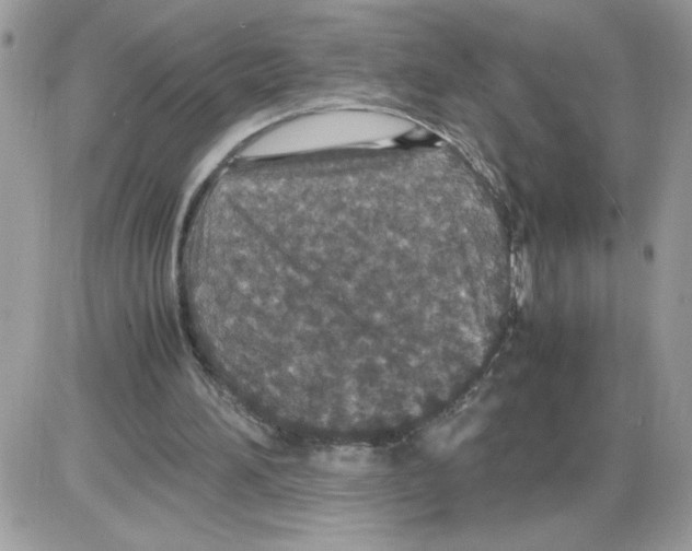 X0000085810196200704131955