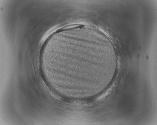 X0000085810199200704131955