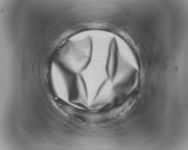 X0000085810201200704131955