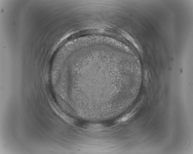 X0000085810203200704131955