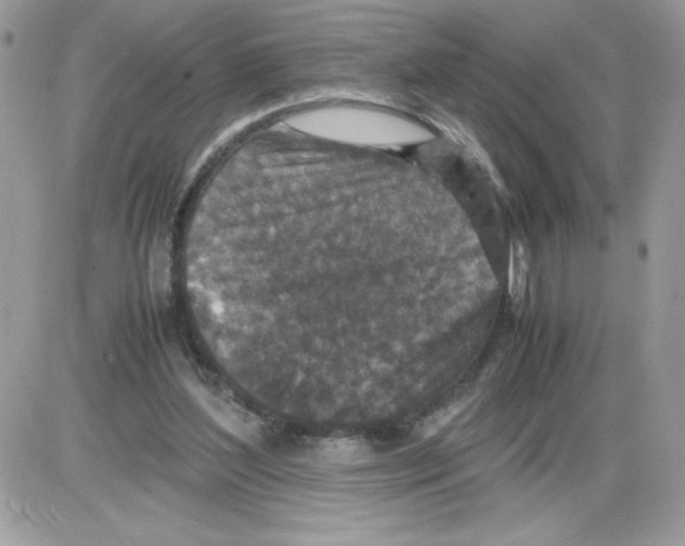 X0000085810204200704131955