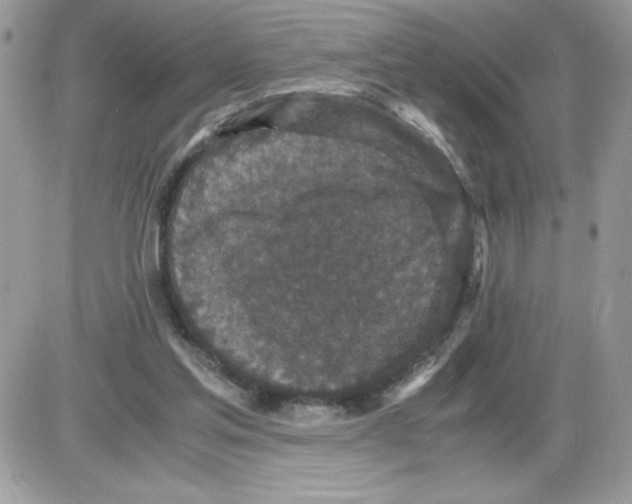 X0000085810205200704131955