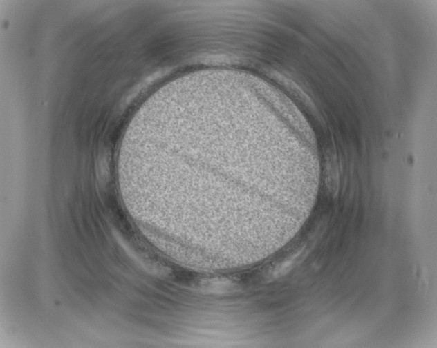 X0000085810208200704131955