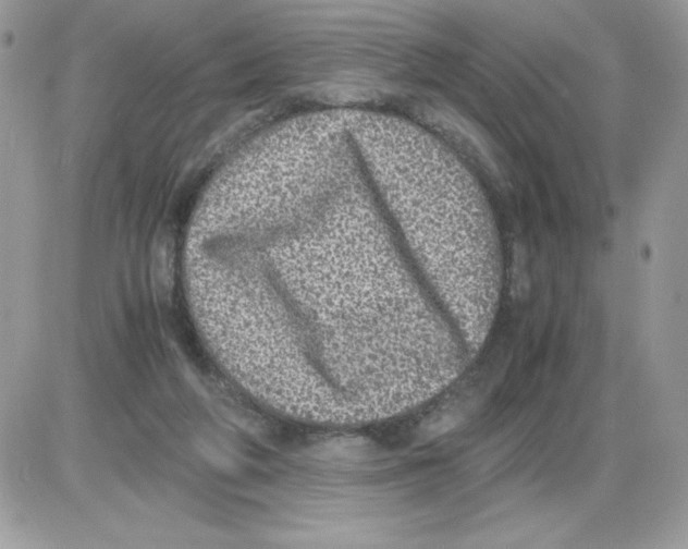 X0000085810210200704131955