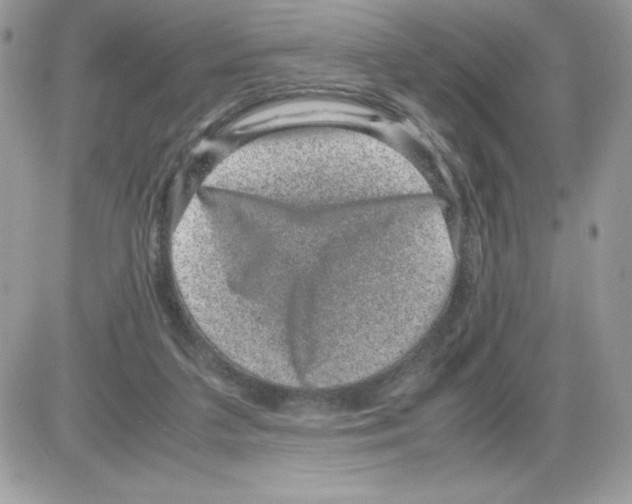 X0000085810211200704131955