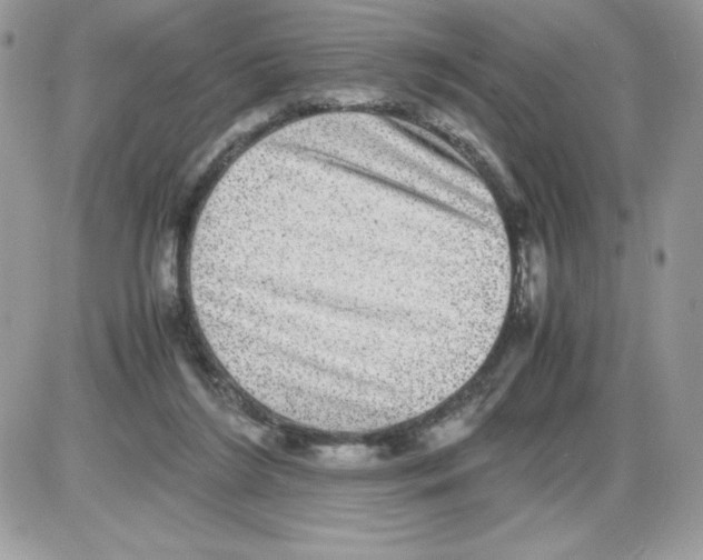 X0000085810212200704131955