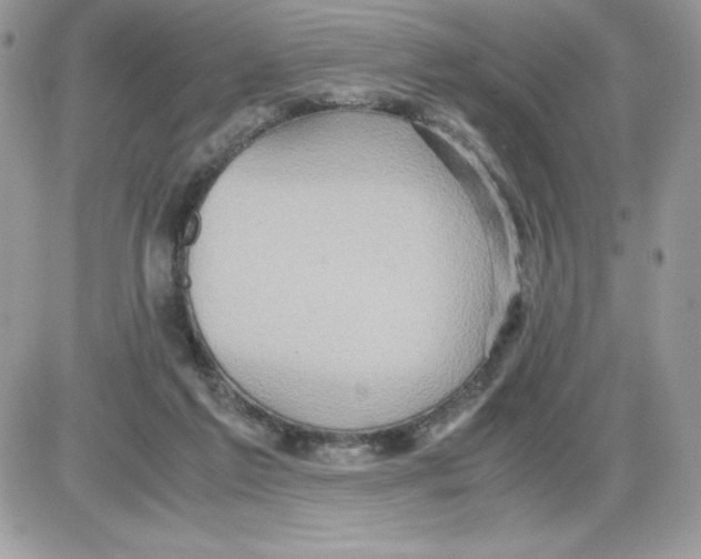 X0000085810213200704131955