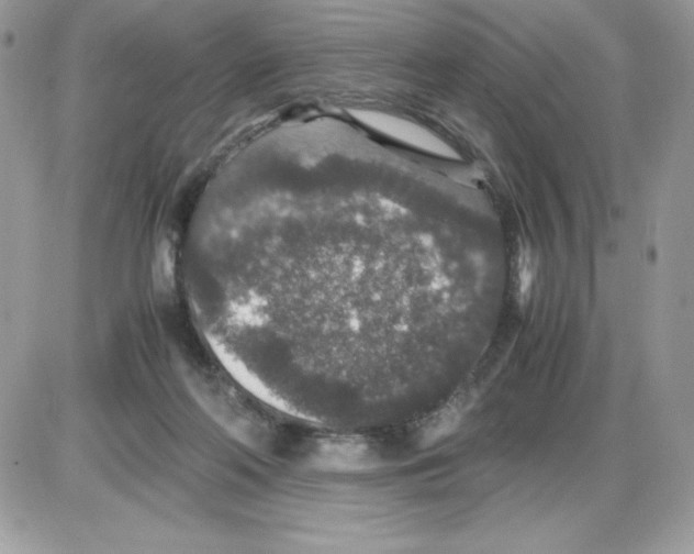 X0000085810214200704131955