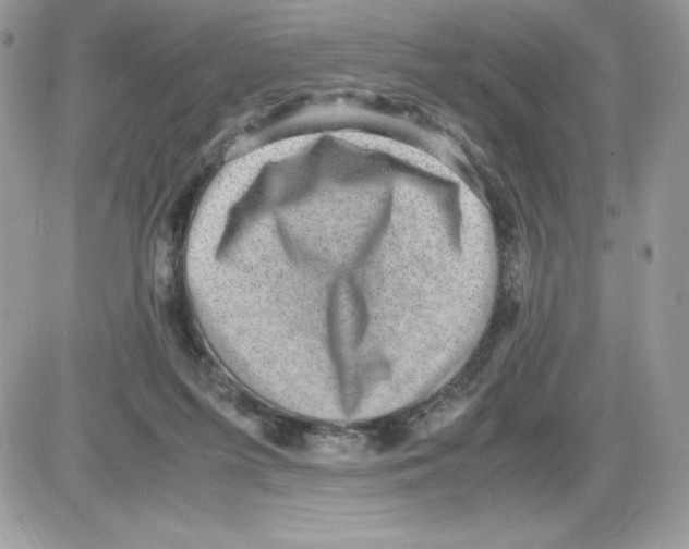 X0000085810215200704131955