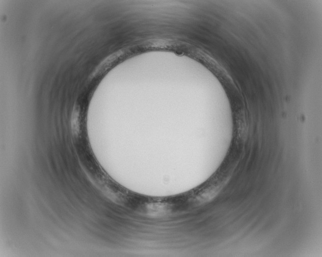 X0000085810216200704131955