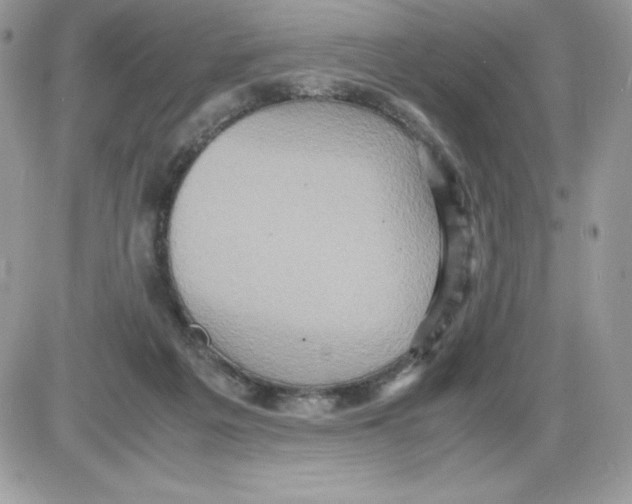 X0000085810217200704131955