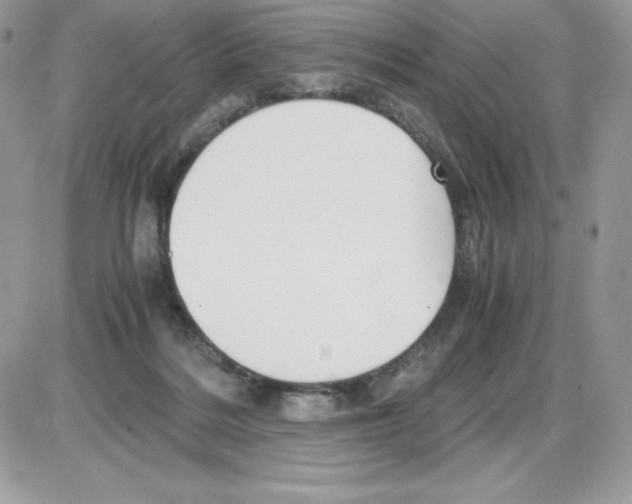 X0000085810220200704131955