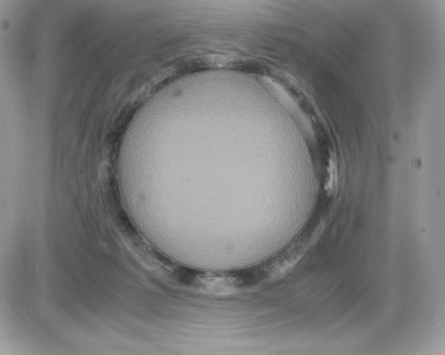 X0000085810221200704131955