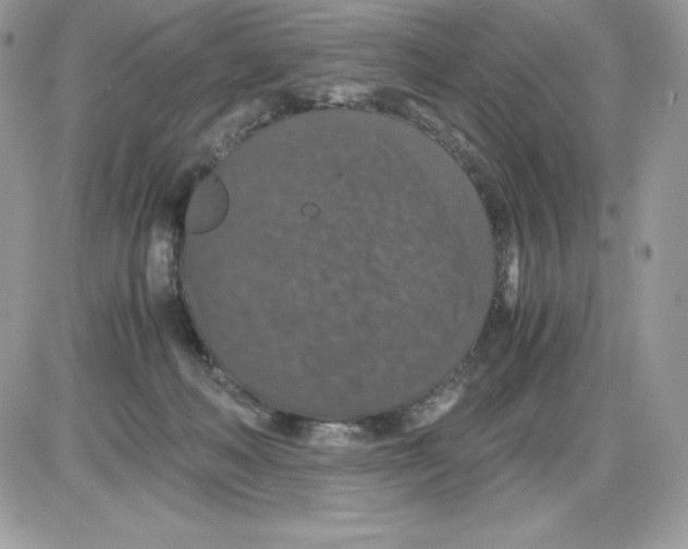 X0000085810222200704131955