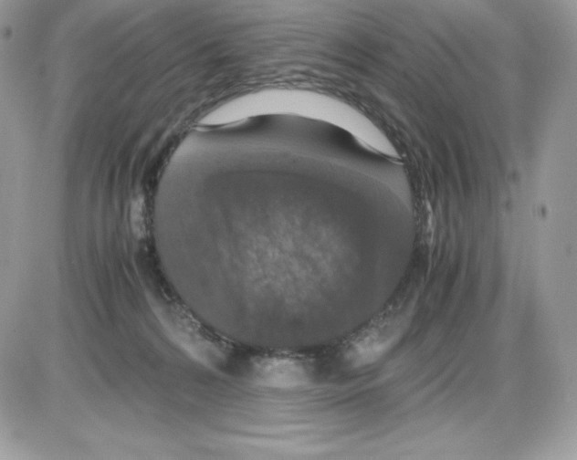 X0000085810224200704131954