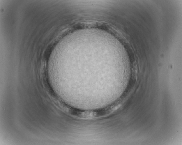 X0000085810225200704131954