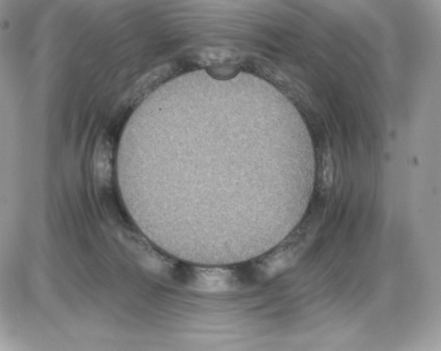 X0000085810226200704131954