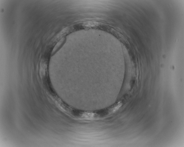 X0000085810227200704131954