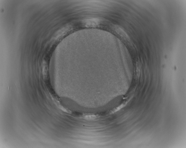 X0000085810228200704131954