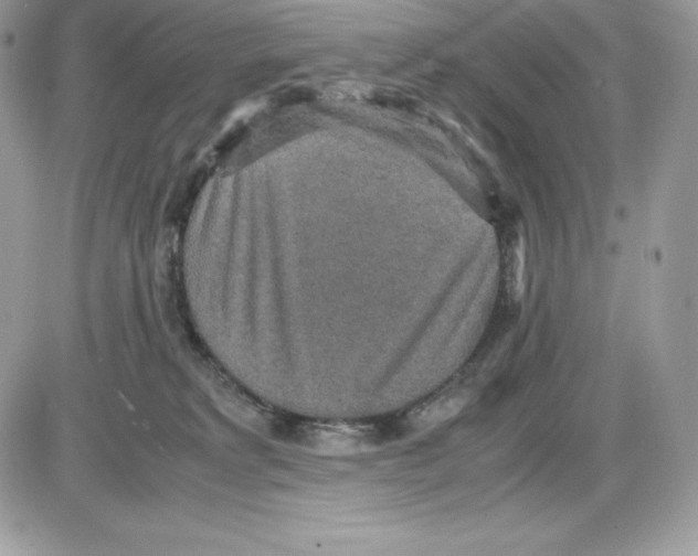 X0000085810229200704131954