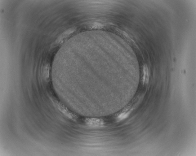 X0000085810230200704131954