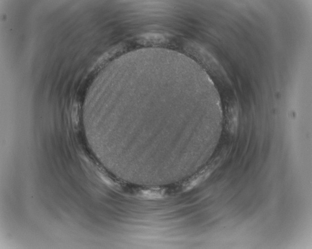 X0000085810232200704131954