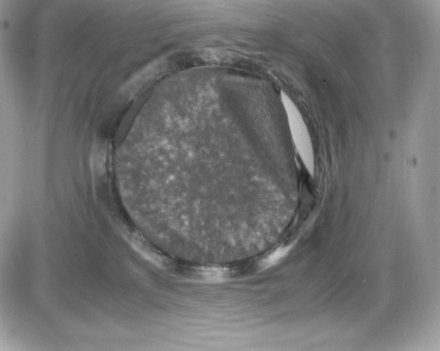 X0000085810233200704131954