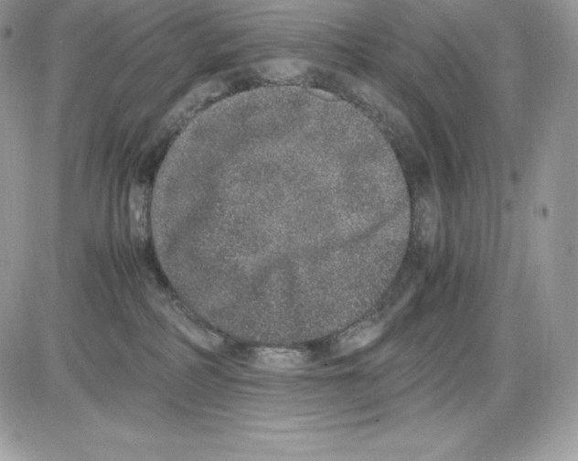 X0000085810234200704131954