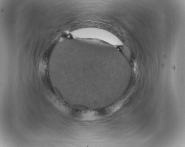 X0000085810235200704131954