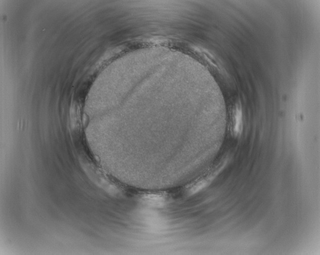 X0000085810236200704131954