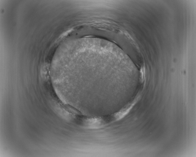 X0000085810237200704131954