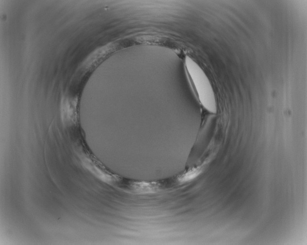 X0000085810239200704131954