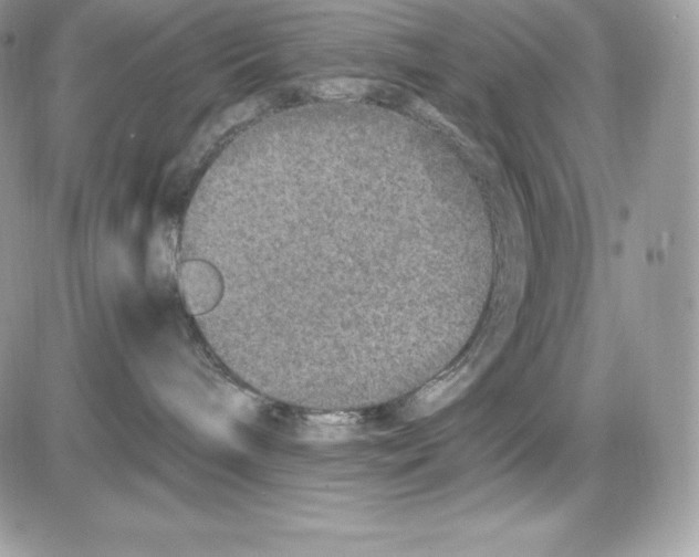 X0000085810240200704131954