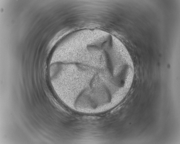 X0000085810242200704131953