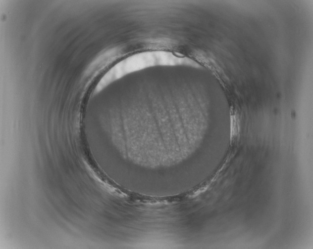 X0000085810243200704131953